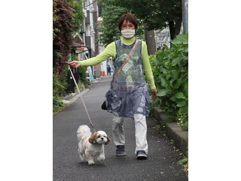 「南永田桜樹の森」では、近所のボランティアの方が「なつ」を散歩させてくれています